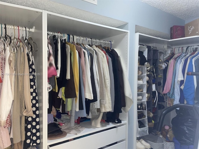 view of walk in closet