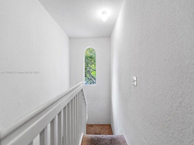2352 SE 21st St, Homestead, FL 33035 - view of patio with area for grilling