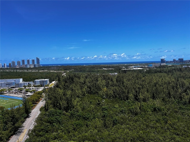 15051 Royal Oaks Ln Unit 2301, North Miami, FL 33181 - view of urban area featuring a forest