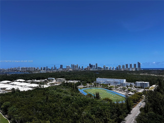15051 Royal Oaks Ln Unit 2301, North Miami, FL 33181 - drone / aerial view of city skyline