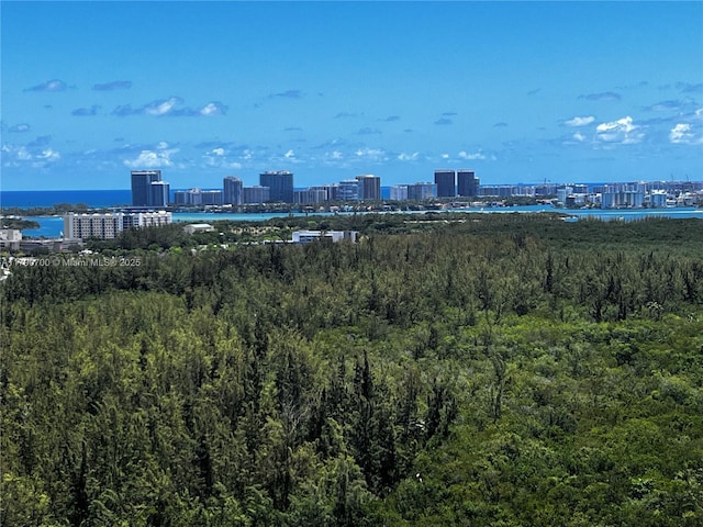 15051 Royal Oaks Ln Unit 2301, North Miami, FL 33181 - water view with a forest and nearby urban area
