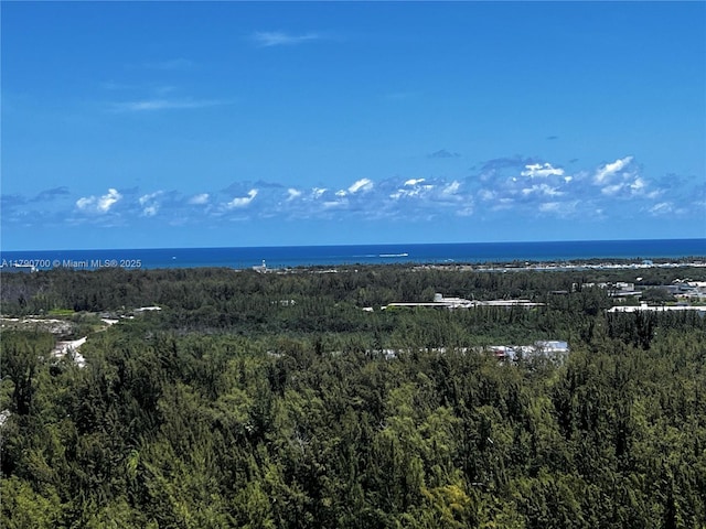 15051 Royal Oaks Ln Unit 2301, North Miami, FL 33181 - aerial view of a heavily wooded area and a large body of water
