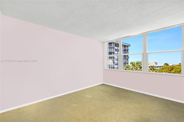 spare room featuring baseboards, carpet floors, and a textured ceiling