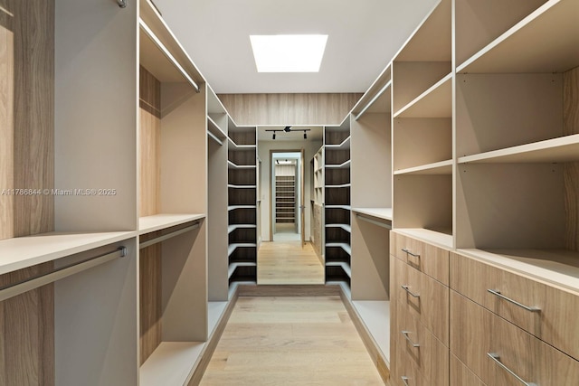 walk in closet with light wood-style flooring