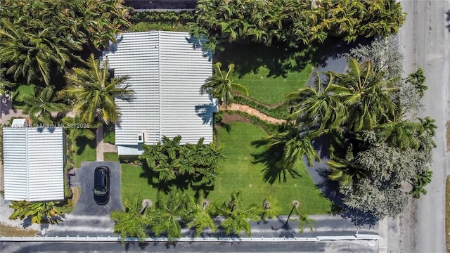 bird's eye view