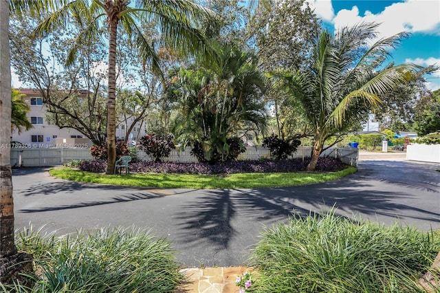 view of road with driveway