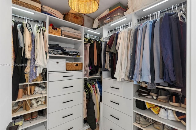 view of spacious closet