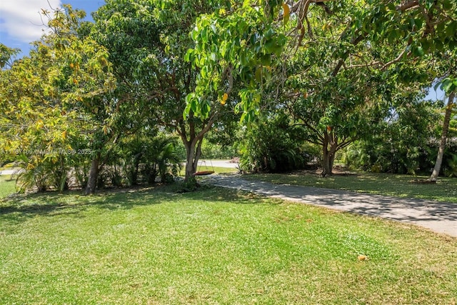 11105 NE 9th Ave, Biscayne Park, FL 33161 - view of yard