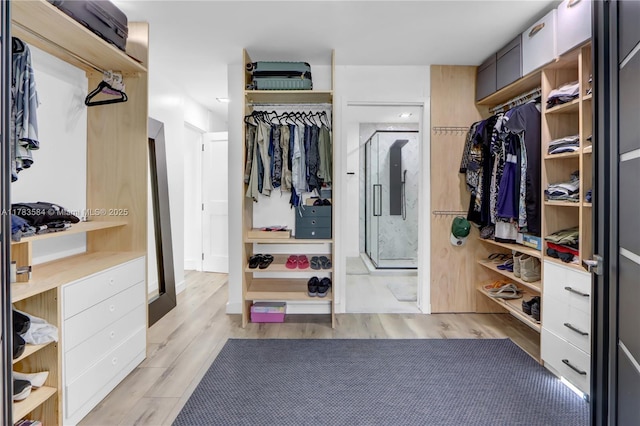 walk in closet featuring light wood finished floors