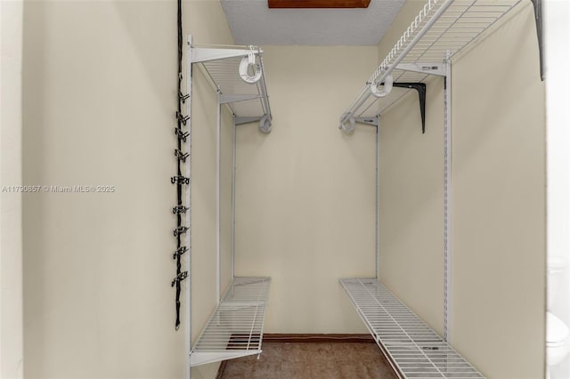 view of walk in closet