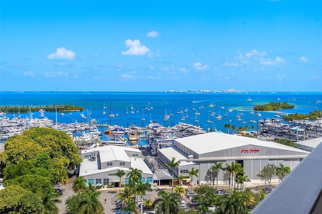 2655 S Bayshore Dr Unit 1006, Coconut Grove, FL 33133 - drone / aerial view with a water view