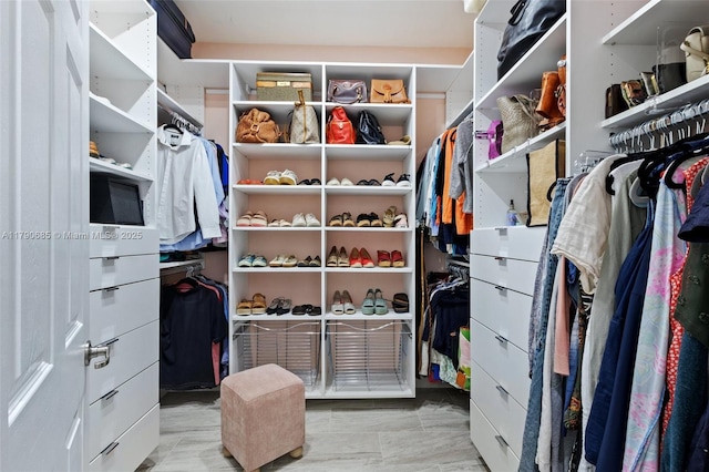 view of spacious closet