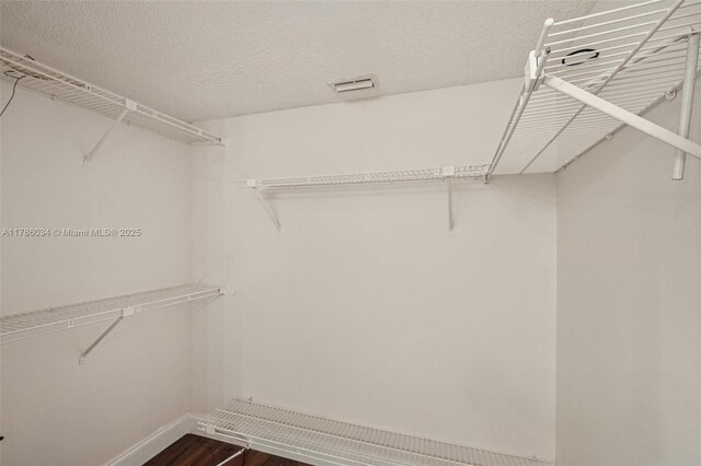 3100 NW 42nd Ave Unit D202, Coconut Creek, FL 33066 - walk in closet with dark wood-type flooring