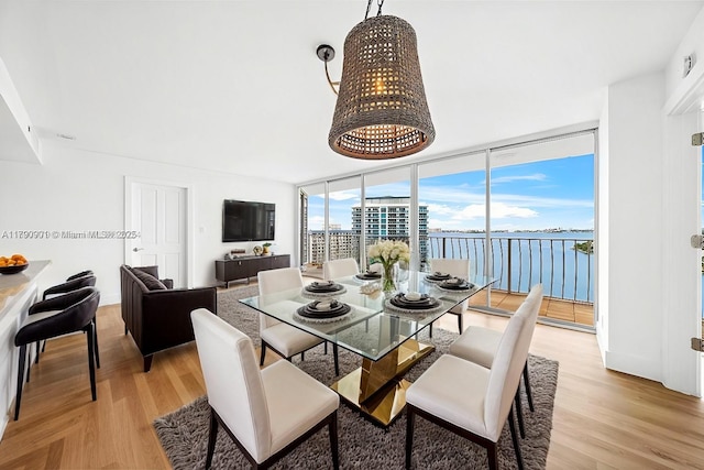 dining space with expansive windows and light wood-style flooring