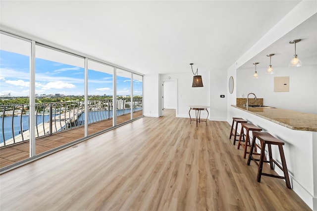living area featuring a wall of windows, light wood-style floors, a water view, and baseboards