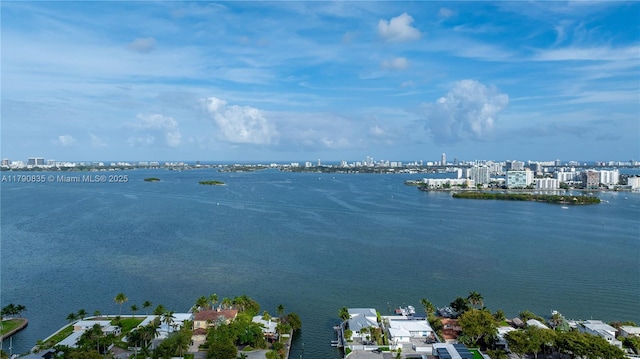 water view with a view of city
