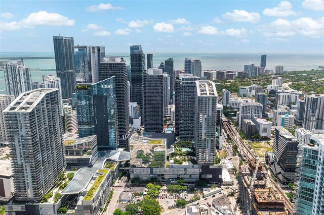 45 SW 9th St Unit 1205, Miami, FL 33130 - city view with a nearby body of water