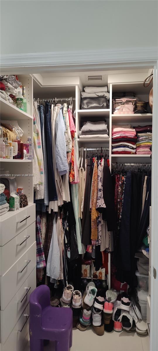 view of closet
