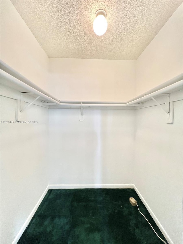 12955 SW 66th Ln Unit 214-2, Miami, FL 33183 - spacious closet featuring dark colored carpet