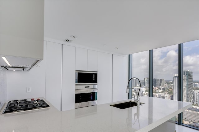 kitchen featuring expansive windows, appliances with stainless steel finishes, white cabinets, a sink, and modern cabinets