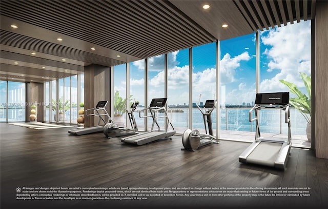 gym with wood finished floors and expansive windows