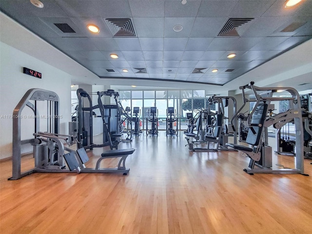workout area featuring visible vents, a drop ceiling, and wood finished floors
