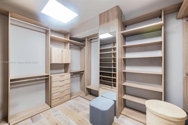 walk in closet featuring light wood finished floors