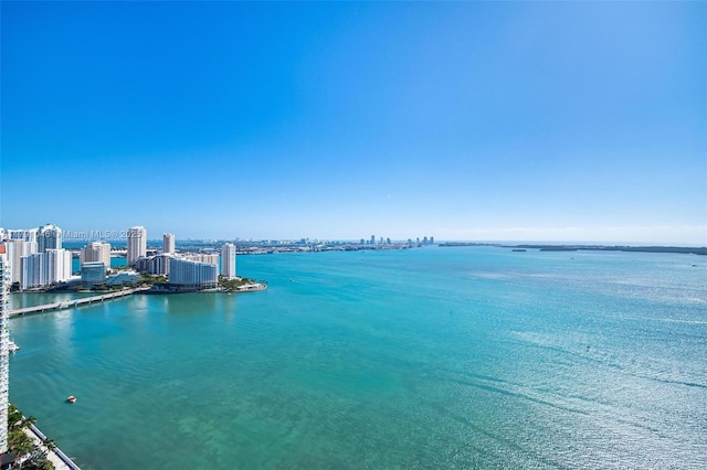 property view of water with a city view