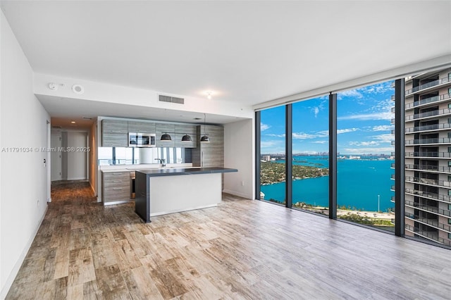 kitchen with wood finished floors, stainless steel microwave, a water view, baseboards, and visible vents