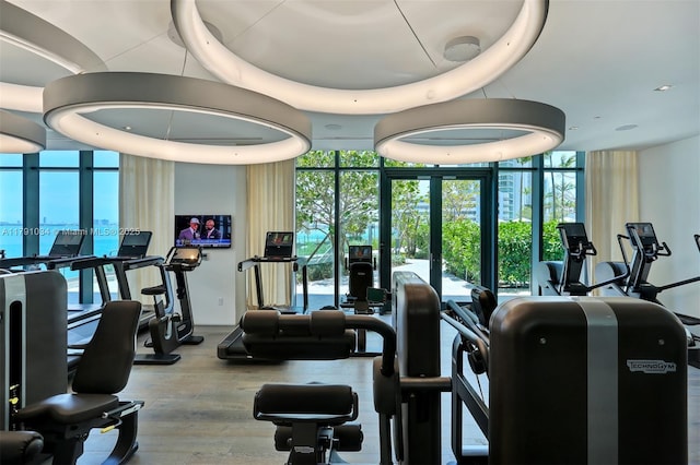 gym featuring expansive windows, wood finished floors, and a healthy amount of sunlight