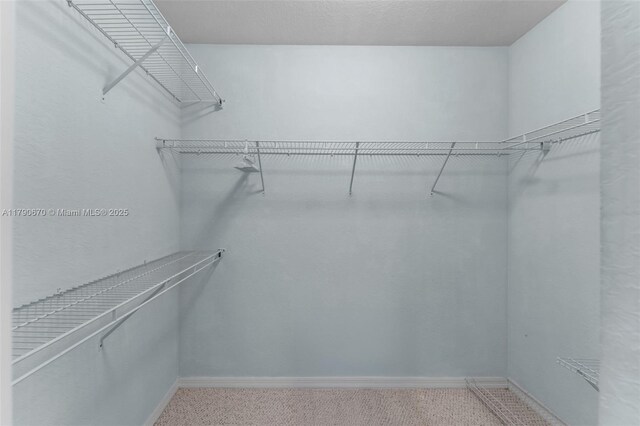 walk in closet featuring carpet