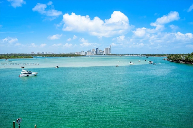 1135 103rd St Unit 606, Bay Harbor Islands, FL 33154 - property view of water featuring a city view