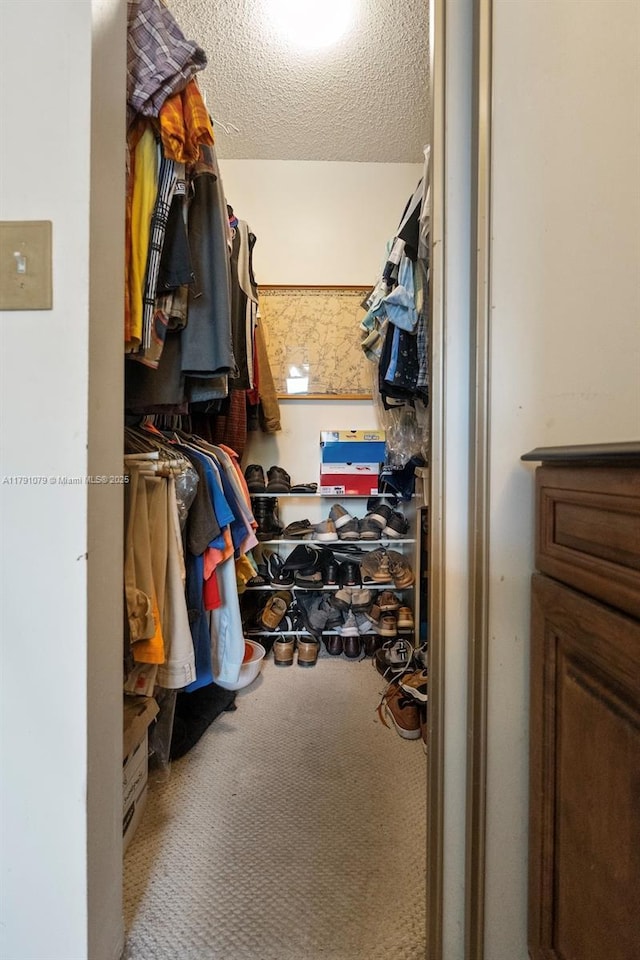 spacious closet featuring carpet flooring
