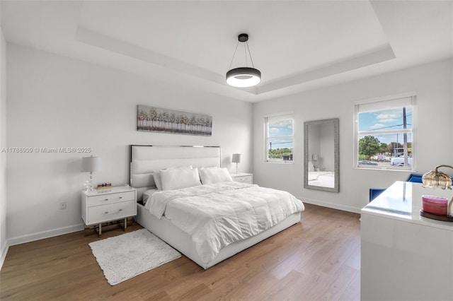 bedroom with multiple windows, wood finished floors, and a raised ceiling