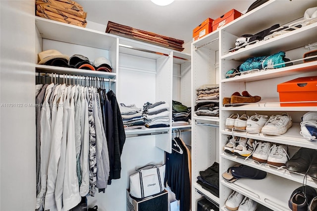 view of walk in closet