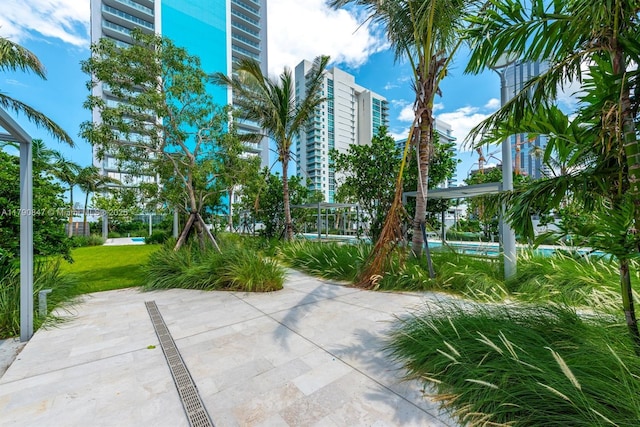view of community with a patio area and a yard