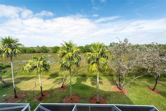 view of yard with a water view