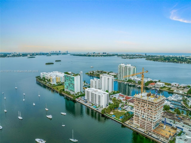 bird's eye view with a city view and a water view