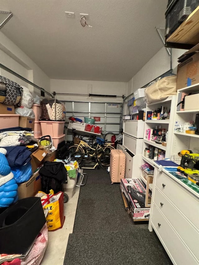 storage area with a garage