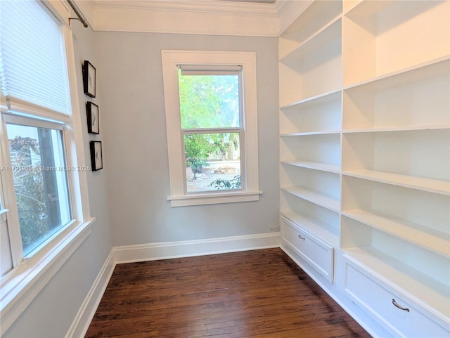 550 SW 13th Ave, Fort Lauderdale, FL 33312 - unfurnished room featuring dark wood-style floors, ornamental molding, baseboards, and healthy amount of natural light