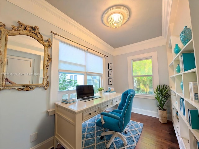 550 SW 13th Ave, Fort Lauderdale, FL 33312 - office area with crown molding, dark wood-style flooring, and baseboards