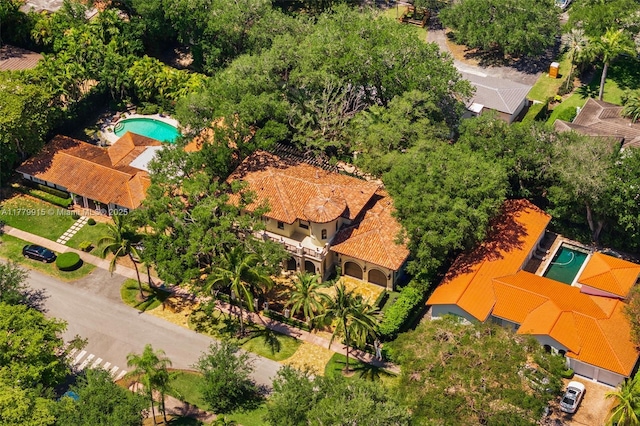 bird's eye view