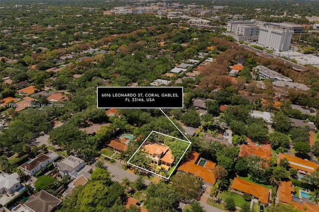 drone / aerial view