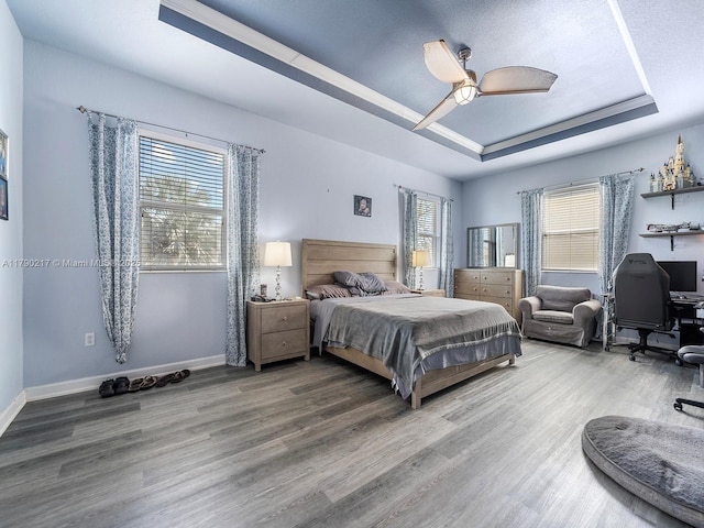 bedroom with a raised ceiling, wood finished floors, and multiple windows