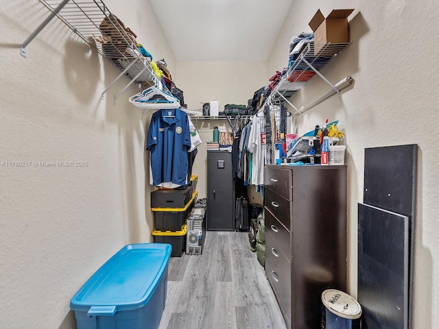 spacious closet featuring wood finished floors