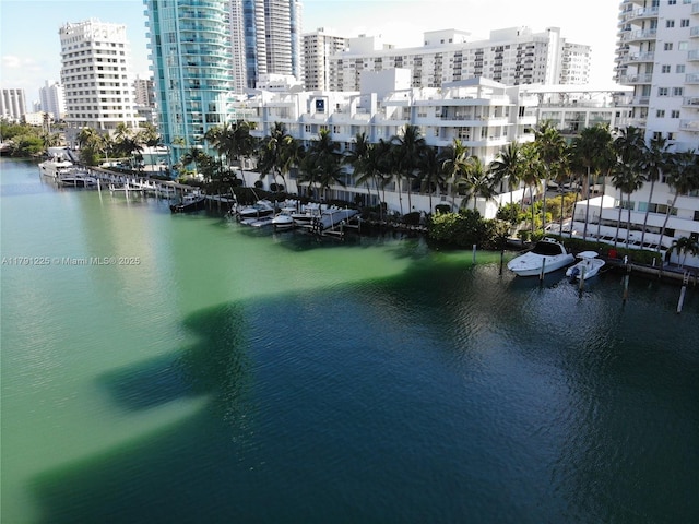 view of water feature featuring a boat dock and a city view