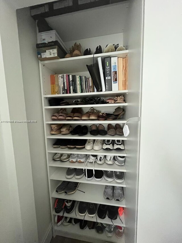 view of closet