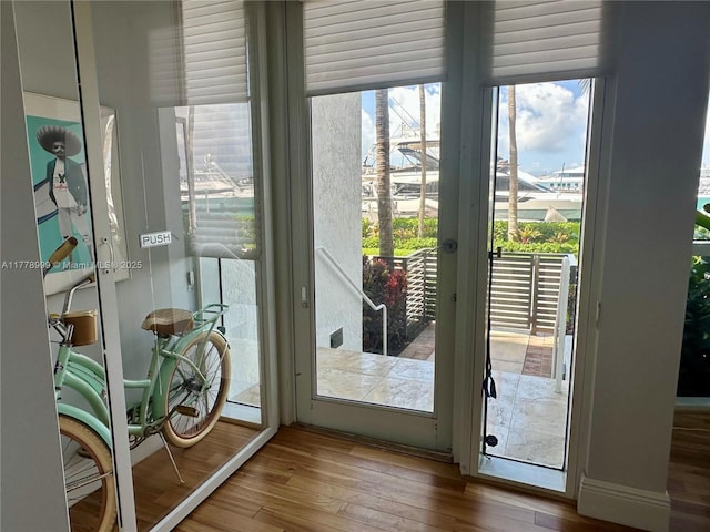 entryway featuring a wealth of natural light and wood finished floors