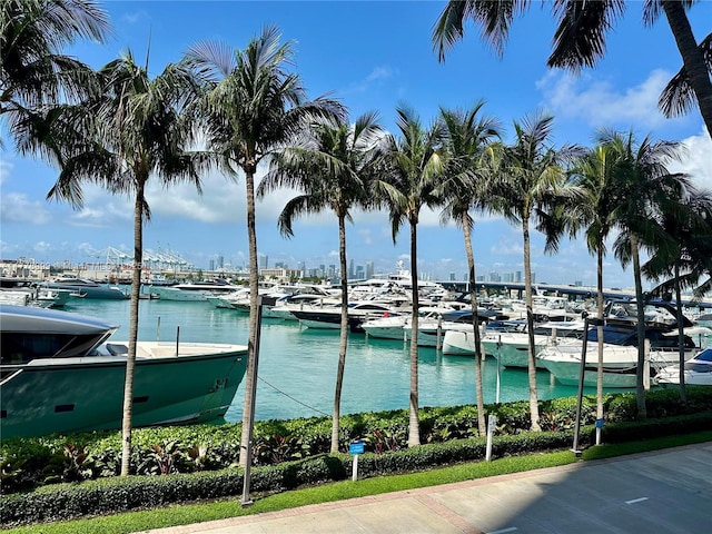 water view featuring a boat dock