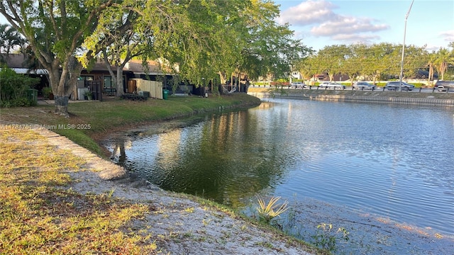 view of water feature
